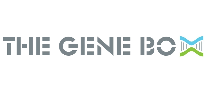 Logo 1