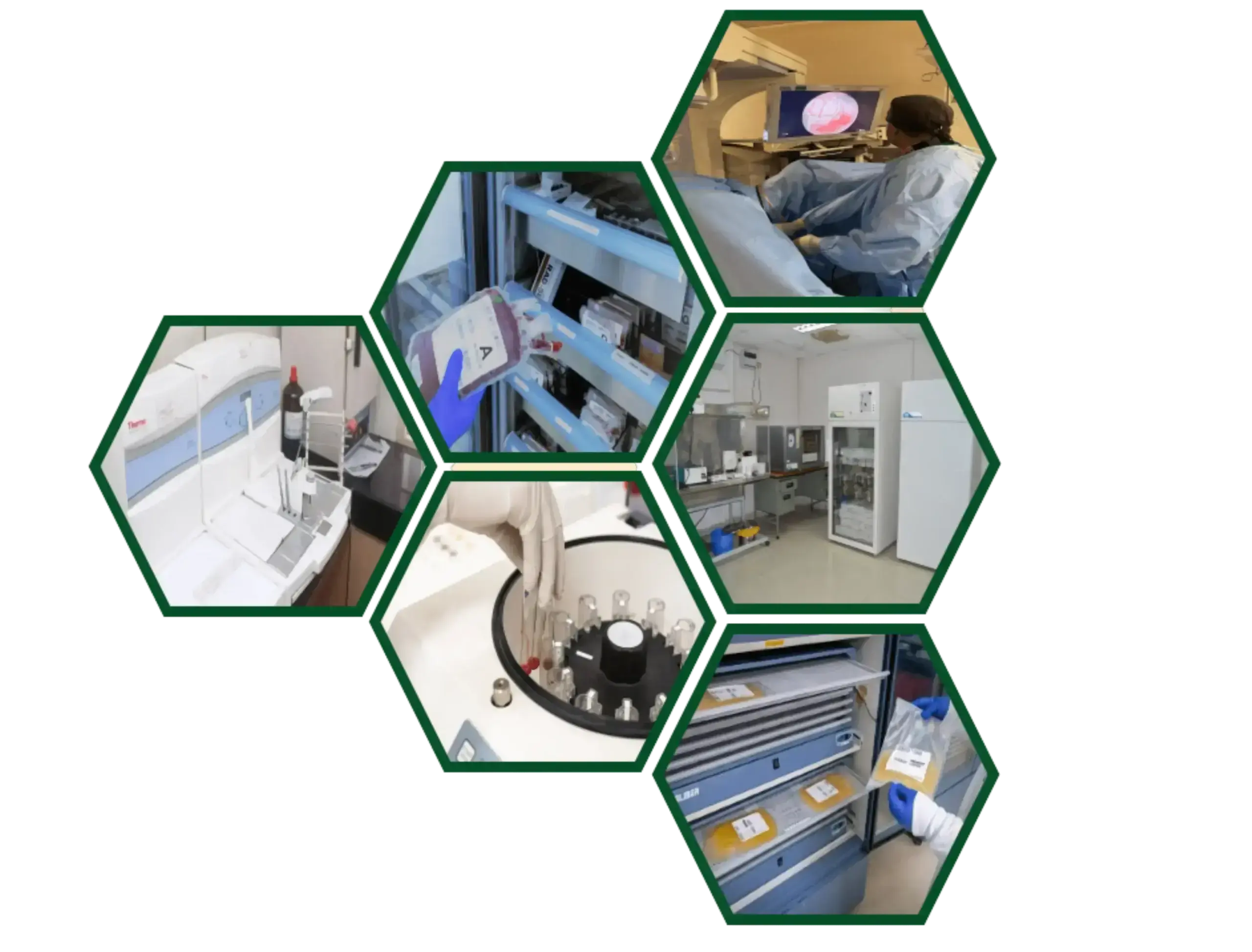 Healthcare diagnostic laboratory blood bank and medical equipment solutions by Cosmic MedTech Solutions